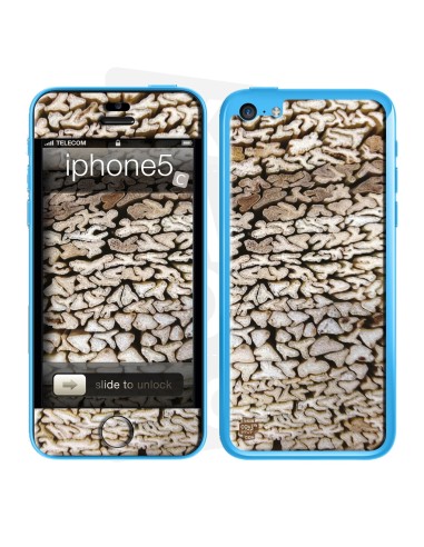 Skincover® iPhone 5C - Design Wood